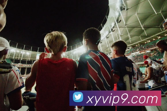 奖项证书